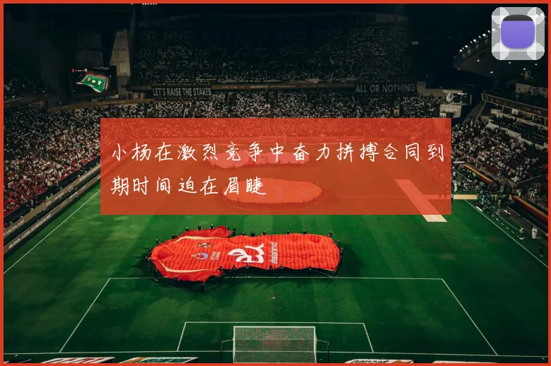 小杨在激烈竞争中奋力拼搏合同到期时间迫在眉睫